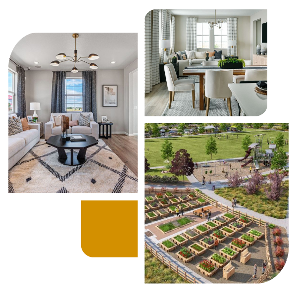 Collage of images of interiors of model homes and mockup of garden