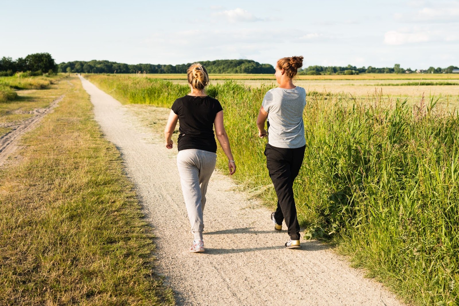 Things to Do Near Thornton, CO